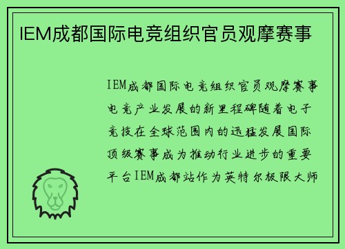 IEM成都国际电竞组织官员观摩赛事