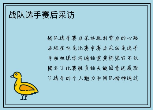 战队选手赛后采访