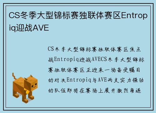 CS冬季大型锦标赛独联体赛区Entropiq迎战AVE