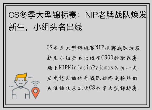 CS冬季大型锦标赛：NIP老牌战队焕发新生，小组头名出线
